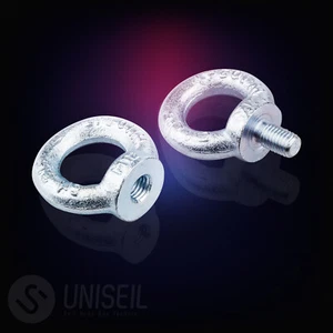 RINGSCHRAUBEN Ringmuttern Ringschraube Ringmutter Kranöse Öse DIN 580 / 582 - Bild 1 von 2