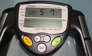 OMRON HBF-306CN Fat Loss Monitor Handheld Portable BMI Tested Working READ! - Picture 1 of 5