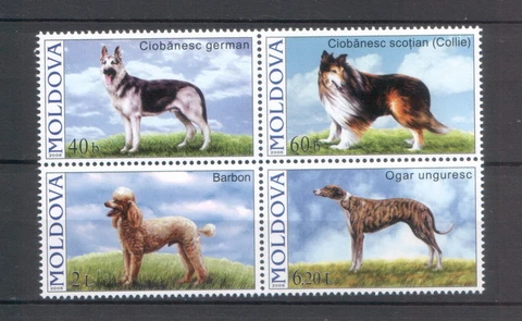 Moldova 2006 Animals, Pets, Dogs, 4 MNH stamps Cover