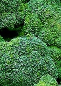 Waltham 29 Broccoli Seeds 500+ SEEDS NON-GMO --BUY 4 ITEMS FREE SHIPPING - Picture 1 of 1