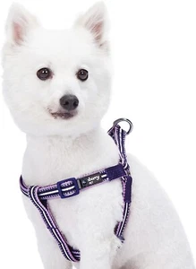 Blueberry Pet Dog Harness Small Orchid & Multi Purple Reflective, Adjustable - Picture 1 of 6