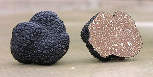 Kostbare italienische frische schwarze Trüffel. Schwarzer Trüffel 295g. 10,4 Unzen Pilze. - Bild 1 von 5