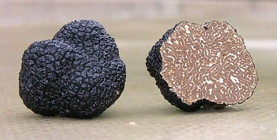 Precious Italian fresh black truffles. Black truffle 295g. 10,4 oz. Mushrooms. - Image 1 of 4