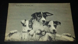Vintage Postcard Scene Around Salisbury, MD. #3 - Picture 1 of 2