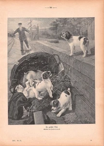 In großer Not - John Hayes - 1907 - Historischer Holzstich Hundebabys ~21x30cm - Bild 1 von 1