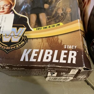 WWE Legends Stacy Keibler Action Figure DAMAGED BOX - Picture 1 of 14