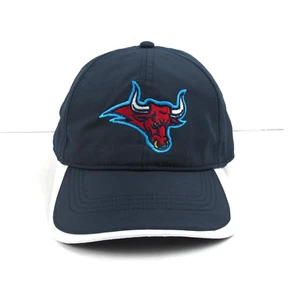 Pacific Headwear Baseball Cap Hat Stampede Bull Embroidered Hook & Loop - Picture 1 of 7