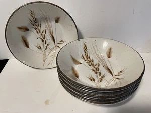 Stonehenge Midwinter Wild Hafer Suppe/Müslischalen - 6er Set - Bild 1 von 2