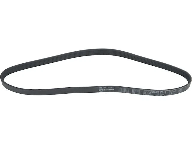 Cinturón multi costilla para Toyota Camry 1998-2001 3,0 L V6 1999 2000 DZ963FH Foto 1 de 1