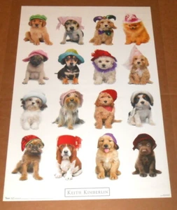 Keith Kimberlin Puppies with Hats Poster 34x22 - Picture 1 of 2