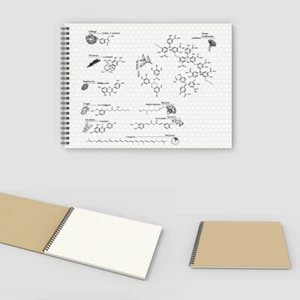 Hexagonal Graph Rule Paper Notebook Graph Notebooke Chemistry Notes and Practice - Picture 1 of 9