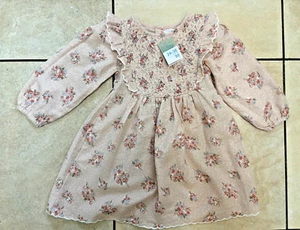 Primark Girls Floral Cotton Flannel Ruffle Dress Age 24-36 Months BNWT Pink - Picture 1 of 4