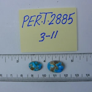 Persian Turquoise 100% Natural 2 Oval Shape Cabochon 11.47 TCW - Picture 1 of 2