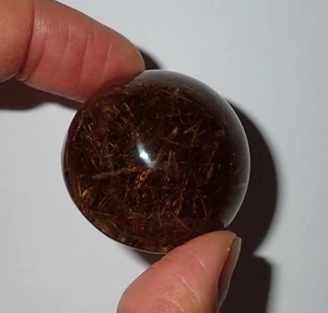 Elephant Dung in 38 mm Round Shape Clear Acrylic Dome Paperweight DP38 - Picture 1 of 6