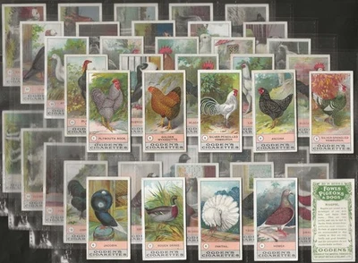 OGDENS-FULL SET- FOWLS PIGEONS & DOGS 1904 (50 CARDS) ALL SCANNED - Image 1 of 4