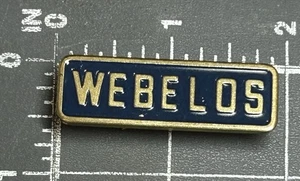 Boy Scouts of America Cubs Webelos Activity Pin Badge Rank Colors Scouting BSA - Picture 1 of 2