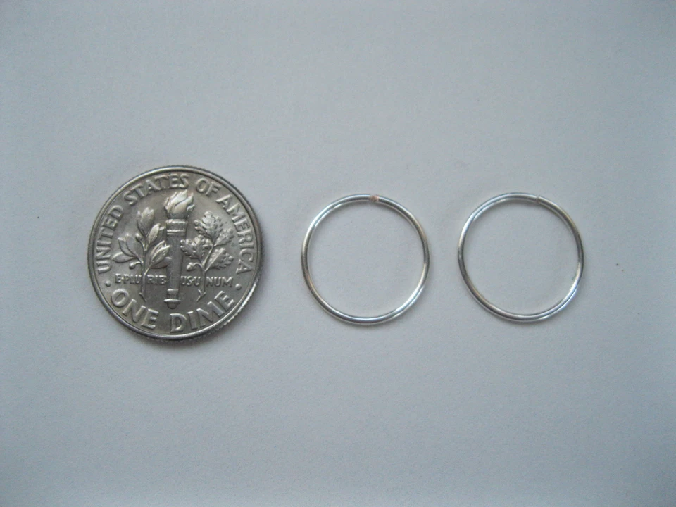 2 Silver 12mm 20g Endless Hoops  Nose Rings Earrings  Body Piercing Cartilage  - Image 1 of 1