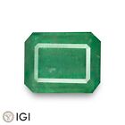 IGI Certified ZAMBIAN Emerald 10.97 Ct. Natural INTENSE GREEN Octagon LARGE