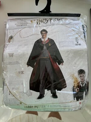 Disfraz de Harry Potter  Foto 1 de 3