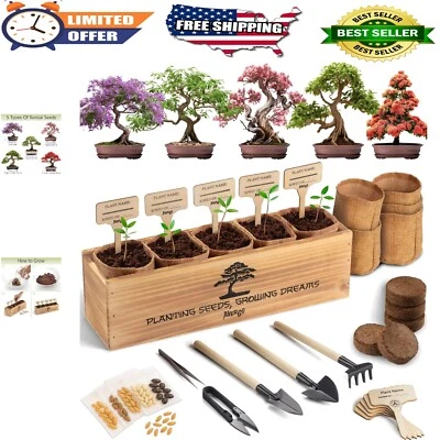 Organic Indoor Bonsai Kit – 5 Unique Trees with Extra Seeds & Gardening Tools - Image 1 of 4