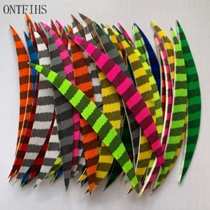 50Pcs 5 Inch Archery Arrow Feather Fletching Striped Banana - Picture 1 of 20