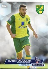 Premier Gold Soccer 13/14 Base Card #64 Robert Snodgrass