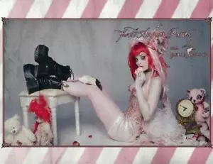 EMILIE HERBST AUS DER ASYLVORRATSKAMMER PROMO POSTER 2013 - Bild 1 von 1