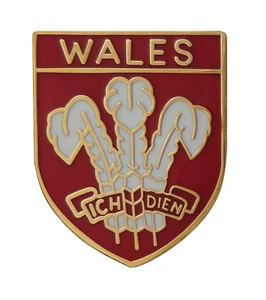 Wales Ich Dien Feathers Shield Pin Badge - Picture 1 of 3