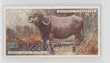 1924 Player's Natural History Tobacco Indian Water Buffalo #9 a8x