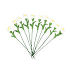  10 Pcs Mikroszene Calla-Lilie Material: Knstlicher Blumenstrau