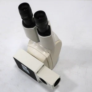 Leica DM1000 Clinical Microscope - 16321 - Picture 1 of 10
