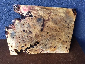 Buckeye Maser natürliche Kante Platte Handwerk Drehen 1" x 10 1/2" x 14 1/2" #1060 - Bild 1 von 6