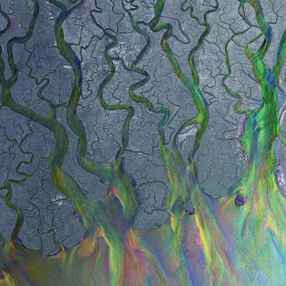 alt-J - An Awesome Wave LP NEU OVP - Bild 1 von 1
