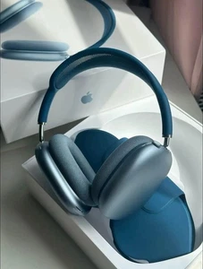 AirPod Max - Photo 1 sur 1