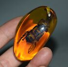 6.5CM Rare China Yellow Amber insect Honeybee Pendant Necklace