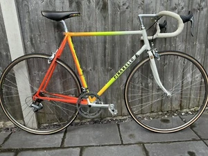 Vintage Retro Pinarello Trevino Road Racing Bike, Campagnolo And Shimano Gruppo - Picture 1 of 12