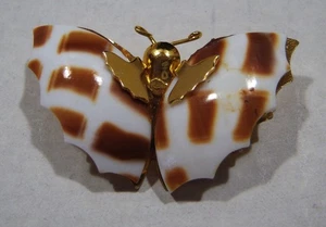 Vtg Goldtone Butteryfly Brooch Pin w/ Cowry Shell Wings 1950-1970 1.75"x 1"x.50" - Picture 1 of 4