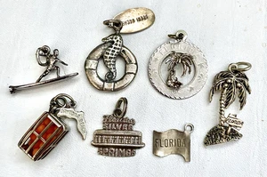 Lote de dijes de plata esterlina vintage Florida Surfer Silver Springs palma naranjas - Imagen 1 de 8