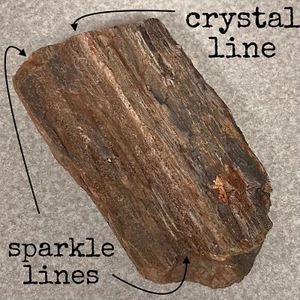 12.9OZ SO UTAH Raw Rough PETRIFIED FOSSIL WOOD Log 5” CRYSTALLIZATION SPARKLES  - Picture 1 of 12