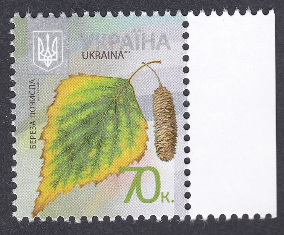 UKRAINE 2013 MNH  Michel 1214 IV Definitive: Trees- Silver Birch (Betula pendula - Image 1 of 1