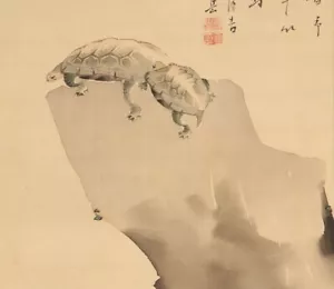 PINTURA JAPONESA PERGAMINO COLGANTE JAPÓN TORTUGA ANTIGUA ARTE ANTIGUO Flor f829 - Imagen 1 de 7