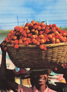 974 SAINT GILLES LES HAUTS ILE DE LA REUNION - Bild 1 von 2