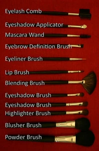 W7 Profession 12 Piece Brush Collection with stylish pouch - Picture 1 of 4