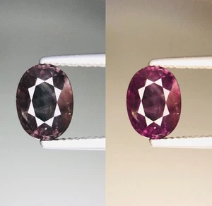 2.9 Ct Natural Rare Color Changing Bekily Garnet Loose Gemstone Madagscar - Picture 1 of 5