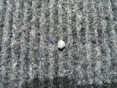 Spur N Antiebsritzel Roco VT 11.5 Roco geradverzahnt - Bild 1 von 3