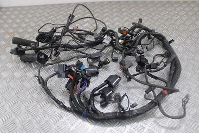 Arnés telar cableado Triumph Tiger 800 XRX 2017 2015 - 2017 Foto 1 de 4