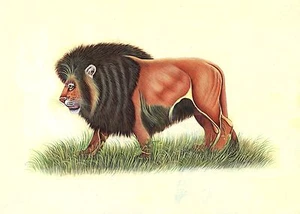 Indian Lion Miniature Painting Handmade Wild Cat Jungle King Animal Nature Art - Picture 1 of 2