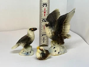 VTG Bone China Miniature Eagle Family of 3 Figurines - Japan 1960s - Picture 1 of 14