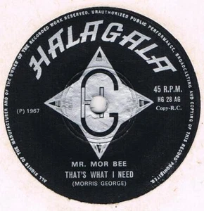 MR MOR BEE Gonna see my baby / That's what I need Halagala HG 28 Rare Guyanan re - Imagen 1 de 2