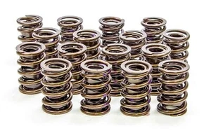 1.530 Endurance Plus Dual Valve Springs 16pk - Picture 1 of 1